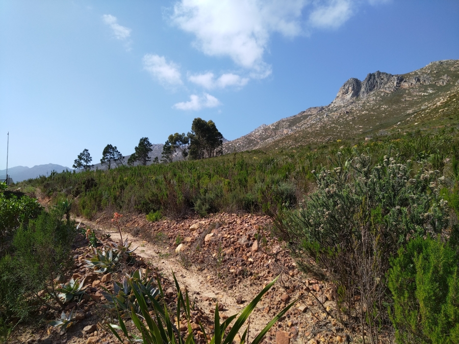 0 Bedroom Property for Sale in Mansfield Western Cape